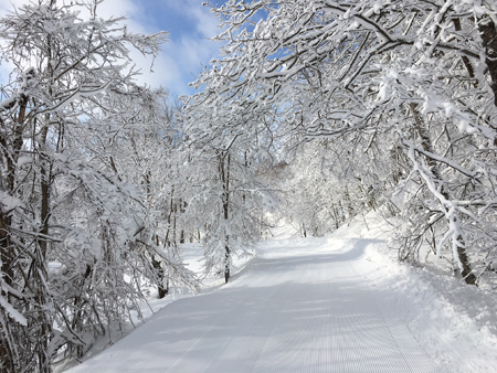 Piyashiri的森林 滑雪野营