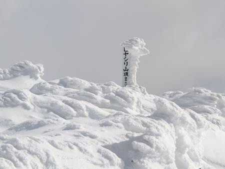 Powder Snow Safari