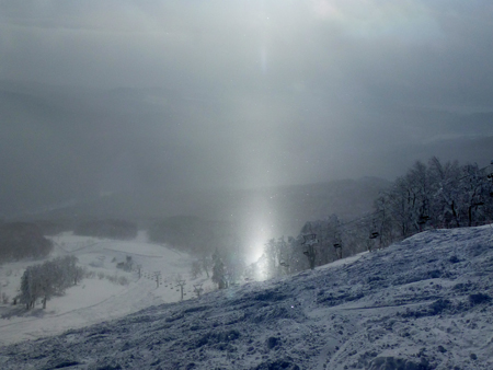 Powder Snow Safari