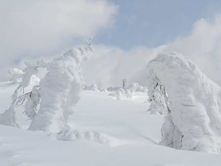 粉雪游猎旅行