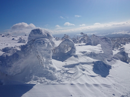 粉雪之旅