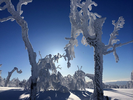 粉雪游猎旅行