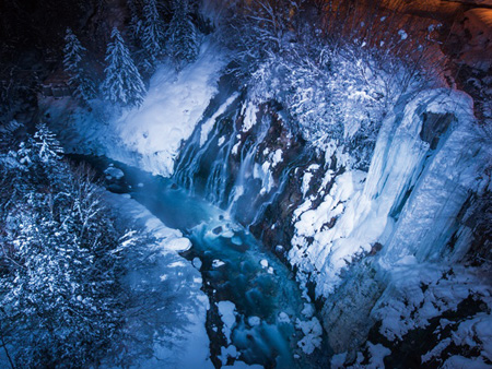 Asahiyama Zoo in winter and Light-up Blue Pond & Shirahige Waterfalls