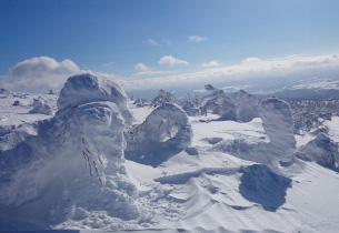 親身感受頂級粉雪