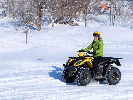 Four-wheel buggy experience