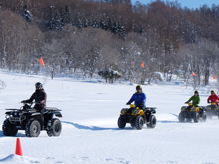 Four-wheel buggy experience