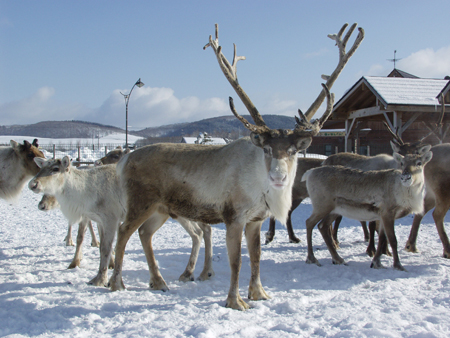 One-day tour route which lets you feel the vast wilderness in Cape Soya and suburbs of Wakkanai